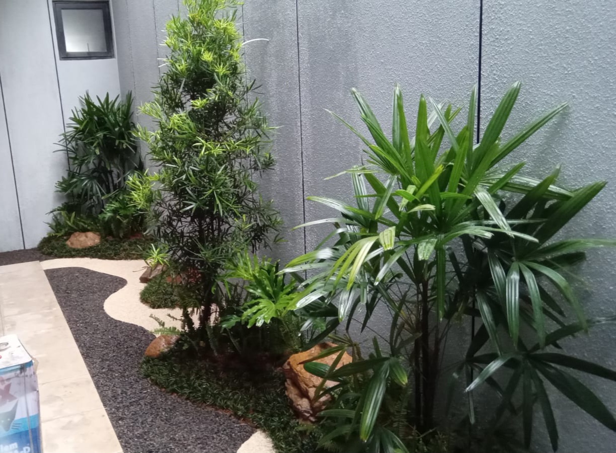 Tukang taman jakarta profesional